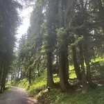 Hildegard * Jenig