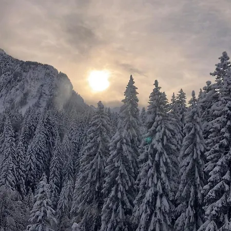 Hildegard Apartmán *