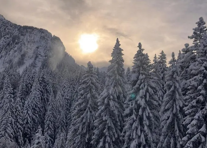 Hildegard Apartman *