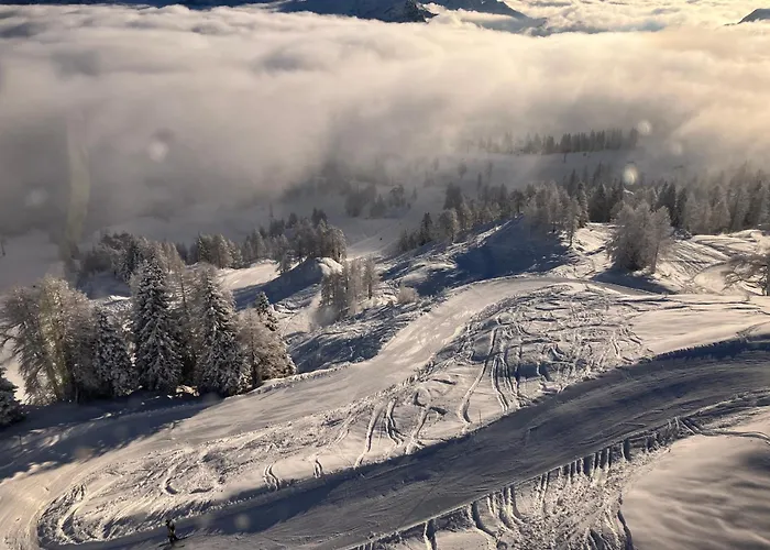 Apartament Hildegard *